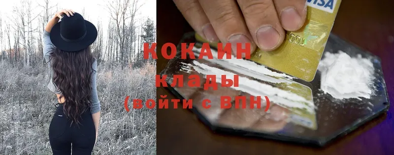 COCAIN Fish Scale  Порхов 